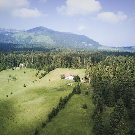 Homestay Djerkovic Žabljak Екстериор снимка