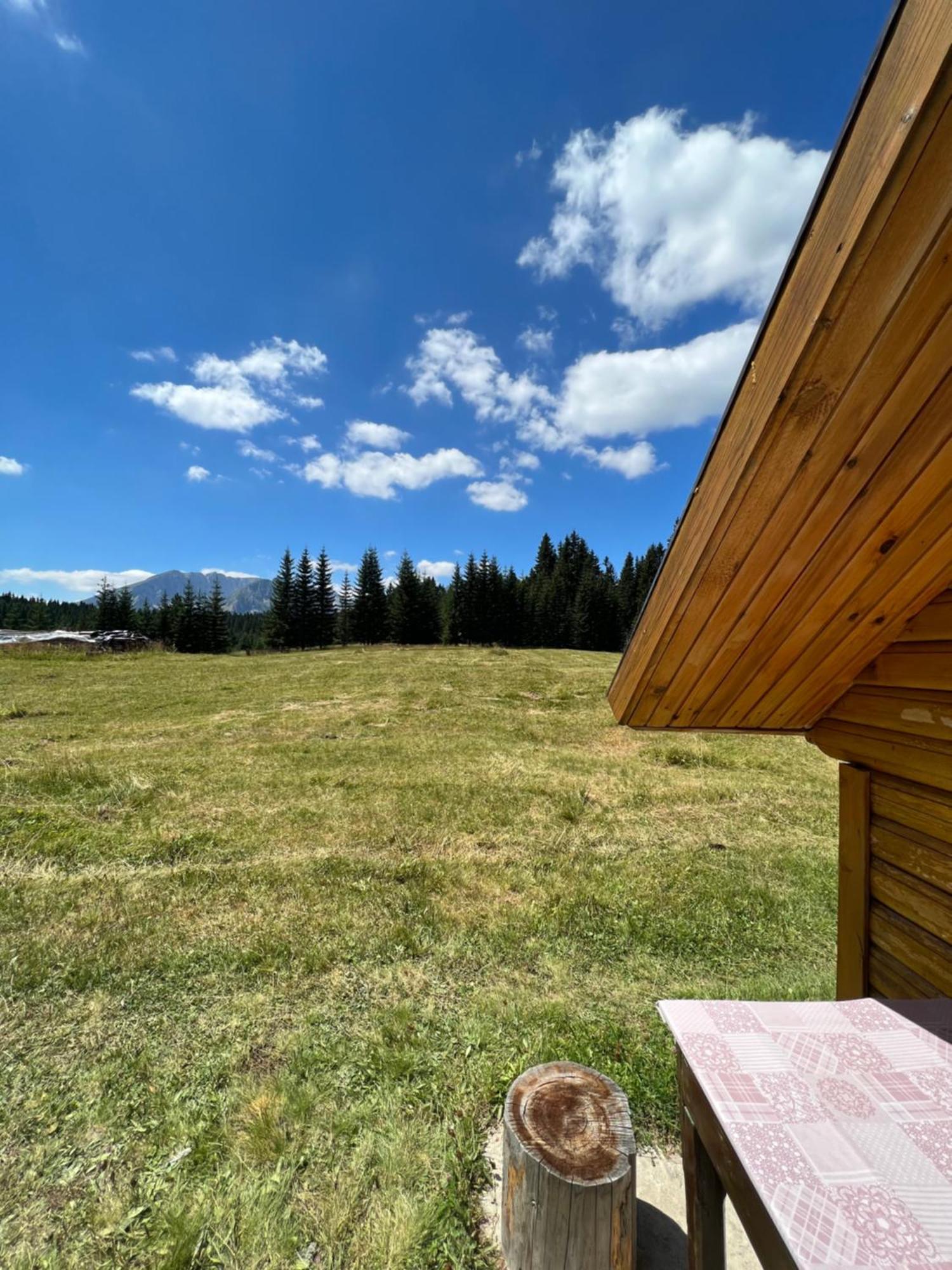 Homestay Djerkovic Žabljak Екстериор снимка
