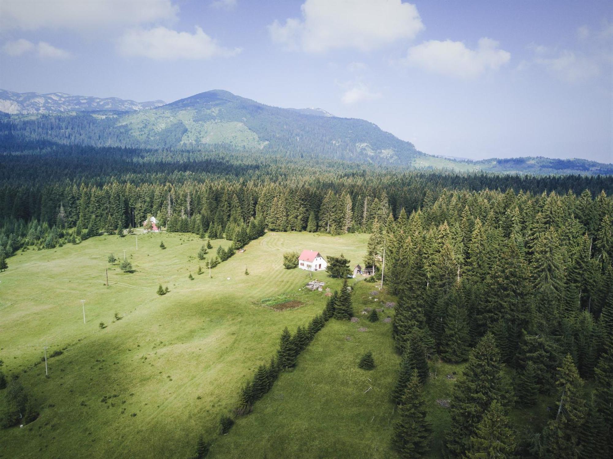 Homestay Djerkovic Žabljak Екстериор снимка