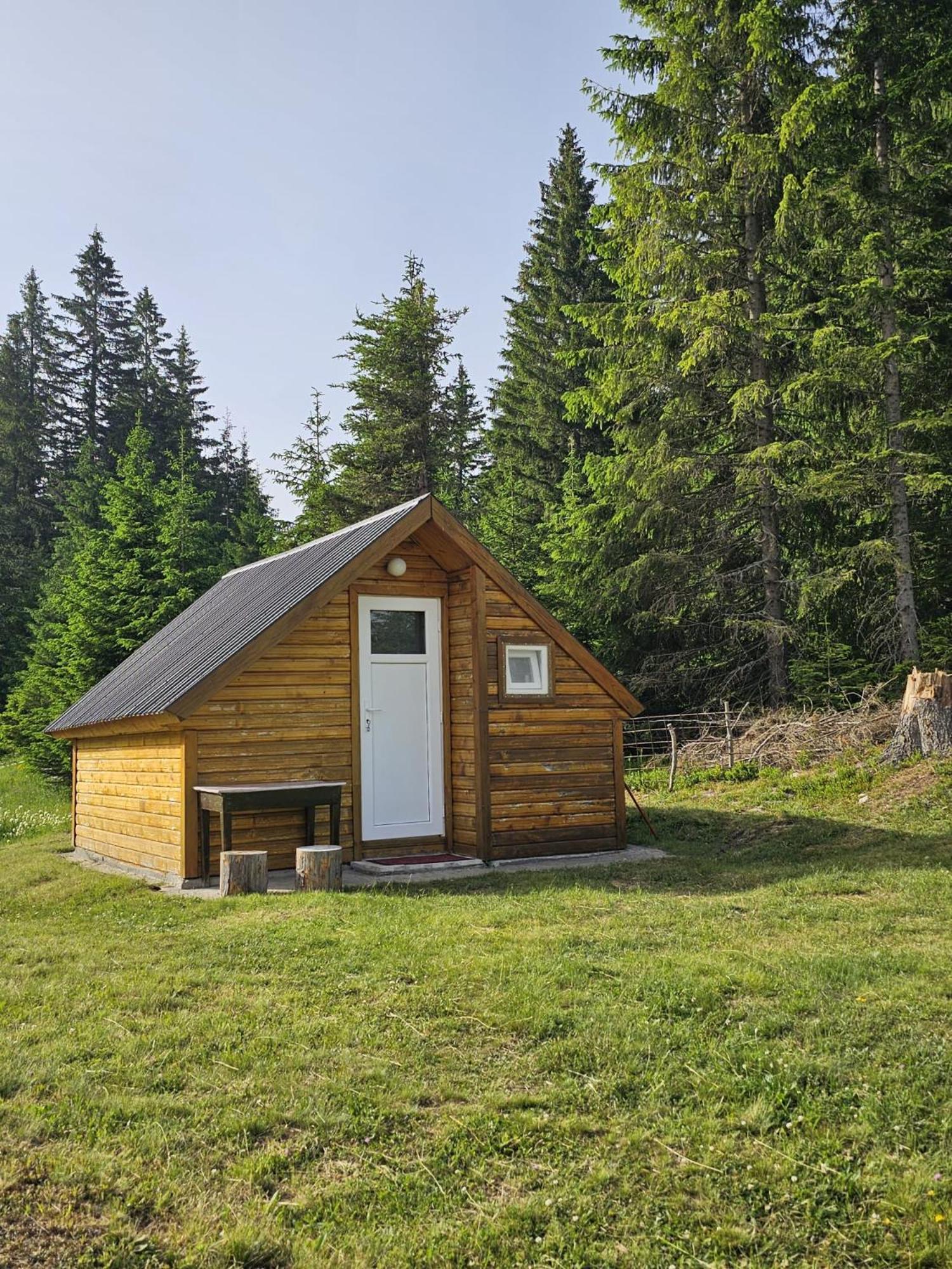 Homestay Djerkovic Žabljak Екстериор снимка