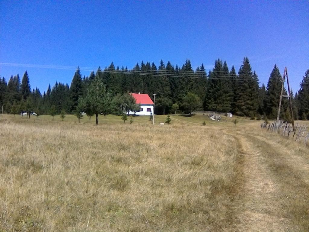 Homestay Djerkovic Žabljak Екстериор снимка