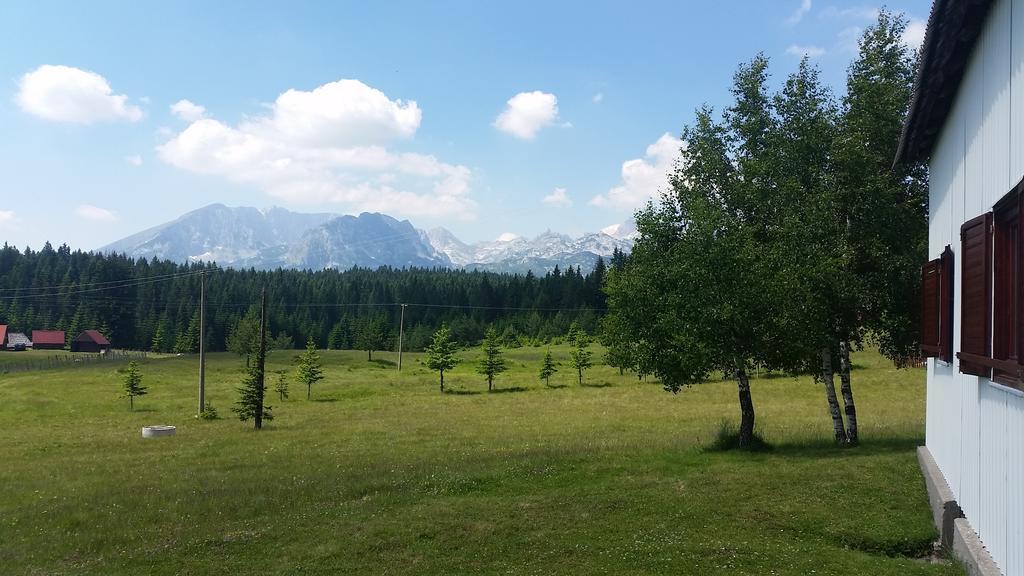 Homestay Djerkovic Žabljak Екстериор снимка