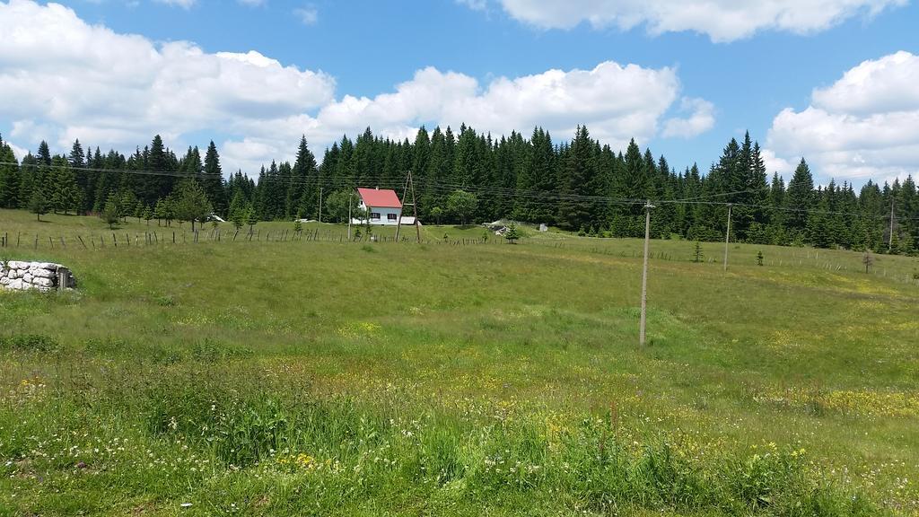 Homestay Djerkovic Žabljak Екстериор снимка